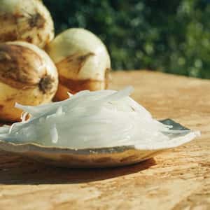 【2026年3月上旬より順次発送】1年に一度だけ！感動の甘さ・早採りサラダ玉ねぎ┃無農薬・無化学肥料栽培┃九州・中国地域送料込