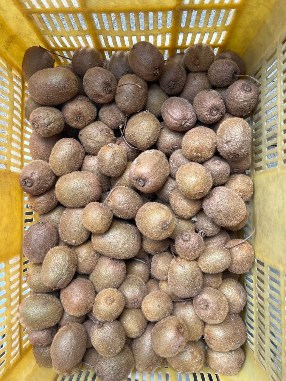 いま食べてほしい、季節のたべもの 背景