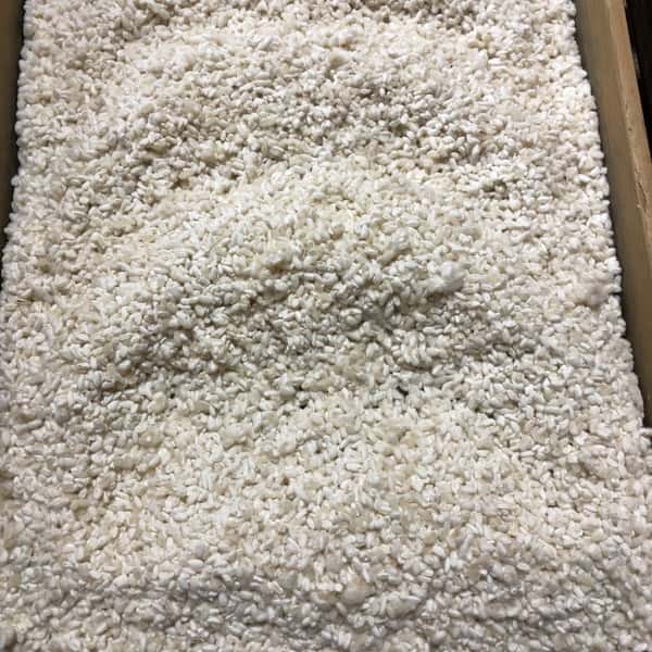 3月13日出来上がり予定！はざかけ干し自家栽培米「亀治」使用＜生こうじ＞ご自宅の手作り味噌に！甘酒に！