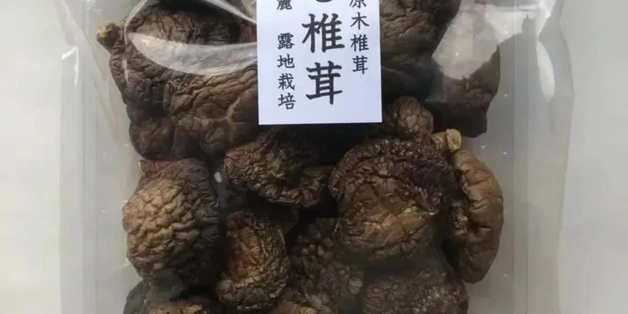 常温一覧 背景