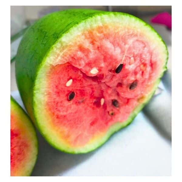 農園の無農薬スイカ