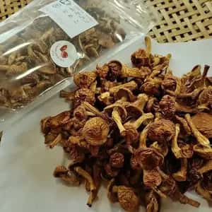 菌床栽培・農薬不使用【乾燥なめこ】旨み凝縮で味噌汁や煮物に最適