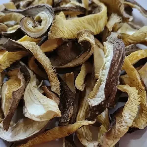 無添加・国産乾燥きのこ＜詰め合わせ5袋セット＞京都京北産原木しいたけ・舞茸・きくらげ・なめこ