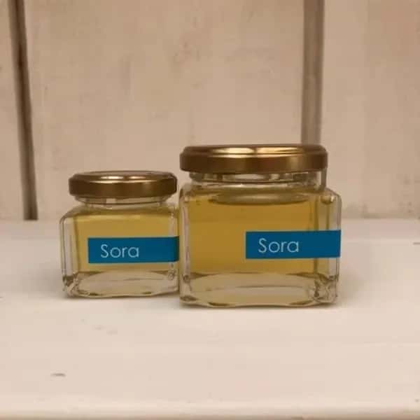 《非加熱・無投薬》自然養蜂で採取した北海道の盛夏の蜂蜜 「Sora」