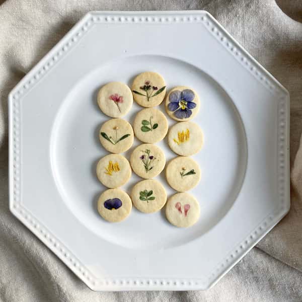 標本菓子箱　初夏