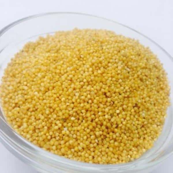 もちあわ [無農薬・無化学肥料・有機JAS認定]