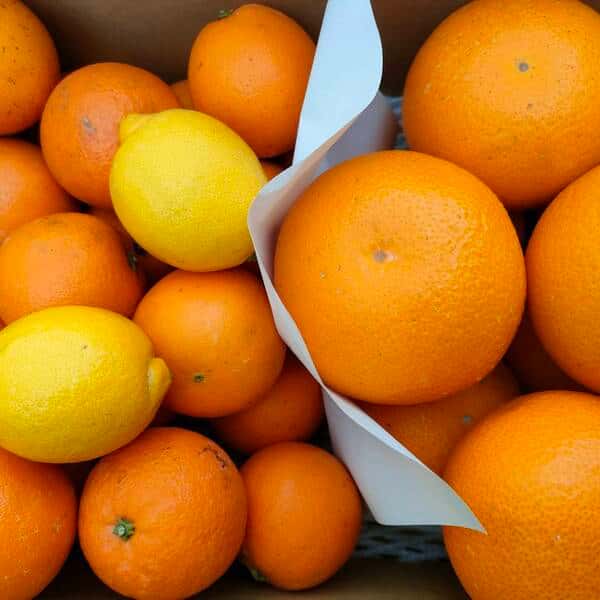 【旬の柑橘詰め合わせセット】紅八朔・ネーブルSサイズ・小玉レモン2個【ご家庭用】