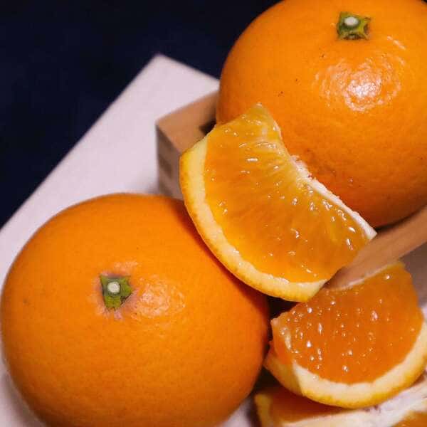 果汁たっぷりの和製オレンジ「清見」