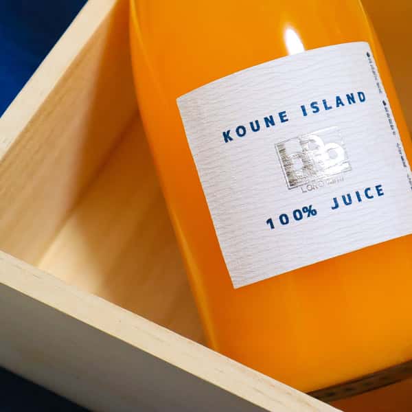 【幻のブランドみかん】高根島みかん100％ジュース【2本】