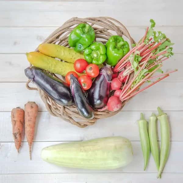 【とても希少な自然栽培＆固定種のみ】自然と一緒に育てた旬の野菜セット