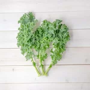 【ほぼ自然栽培！お得なまとめ買い！】高栄養のスーパーフード ケールのまとめ売り！