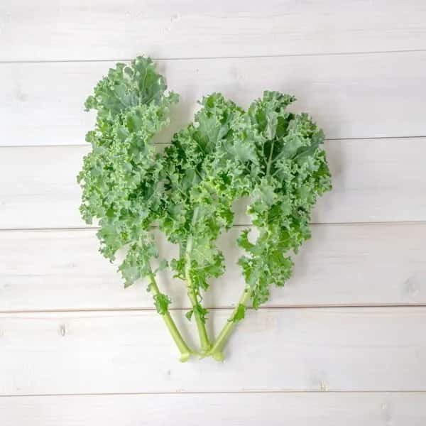 【ほぼ自然栽培！お得なまとめ買い！】高栄養のスーパーフード ケールのまとめ売り！