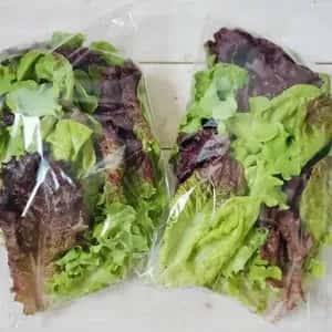 リーフレタス ミックス　100g/袋×4