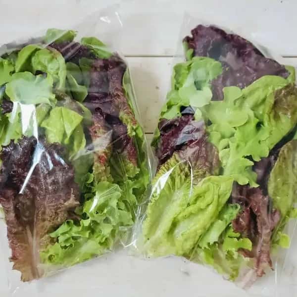 リーフレタス ミックス　100g/袋×4