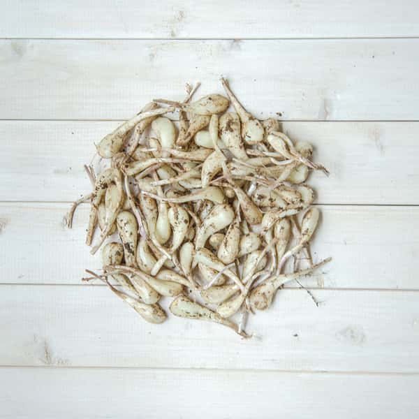 【自然栽培！風味が違う！】今が旬の生らっきょう（土と根付きでお送りします）