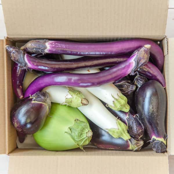 【お得なまとめ買い！！！】今が旬！自然栽培のいろんなナス食べ比べセット（60サイズ段ボールに入るだけ）