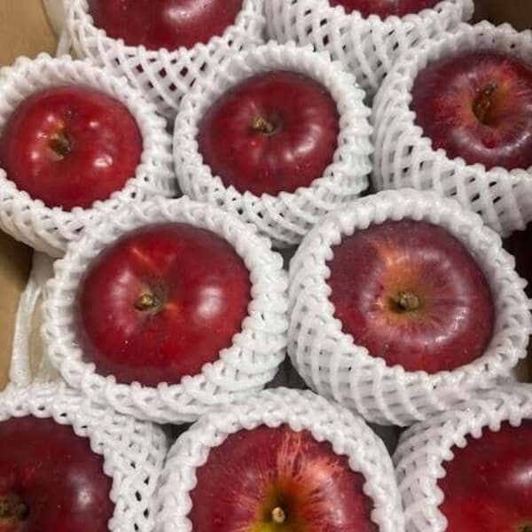 農薬不使用りんご　『紅玉』2Kg