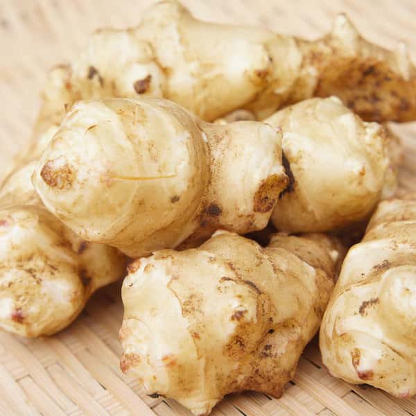 菊芋 無農薬・無化学肥料栽培