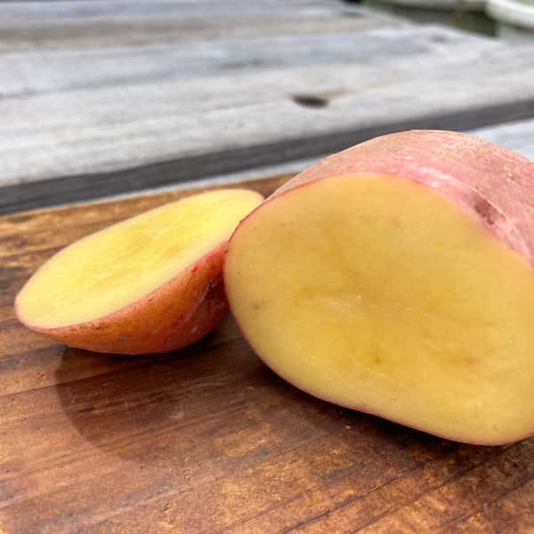 アンデスレッド　(じゃがいも)