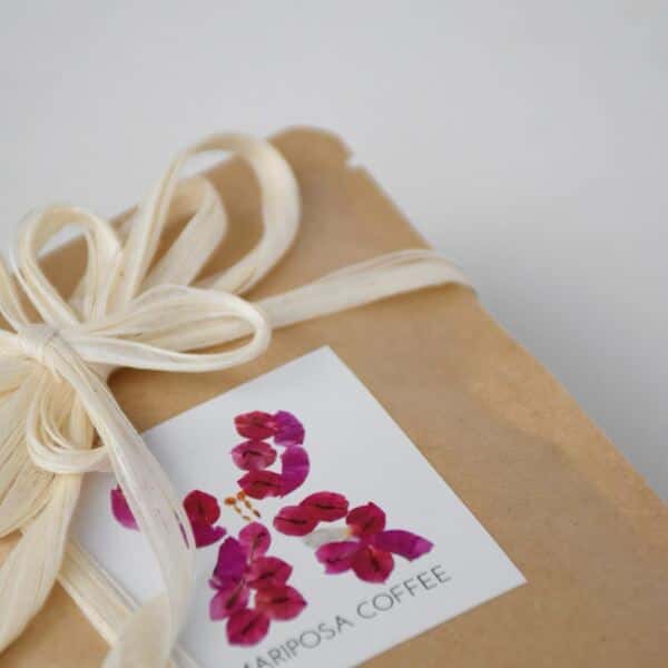 (GIFT)フェアトレード&有機栽培 50度お湯洗いのコーヒードリップバック３つセット