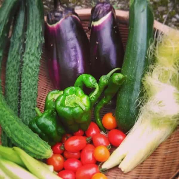 自然栽培 野菜とぽんかんのセット