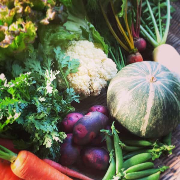 旬のおまかせお野菜セット