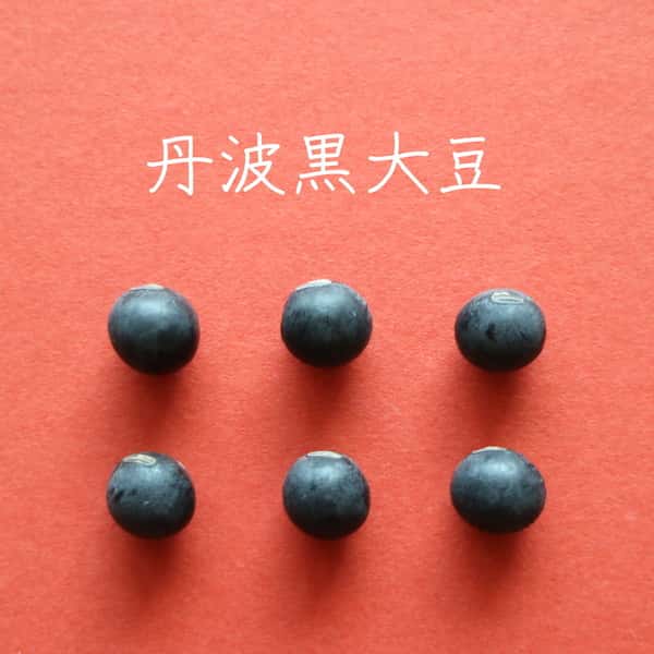 豆【お正月用　丹波黒大豆　２００g】本場丹波篠山産の丹波黒です