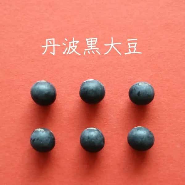 豆【お正月用　丹波黒大豆　２００g　８袋】本場丹波篠山産の丹波黒です
