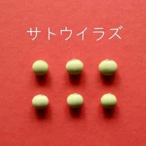 豆【サトウイラズ　２００g】砂糖がいらないくらい甘みの強い大豆です