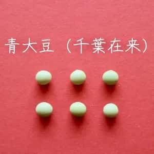 豆【青大豆（千葉在来）　２００g】上品な香りでどんな料理にも合う万能大豆