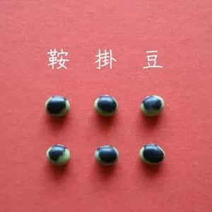 豆【鞍掛豆　２００g】ユニークな模様とコリコリ食感が特徴の大豆です