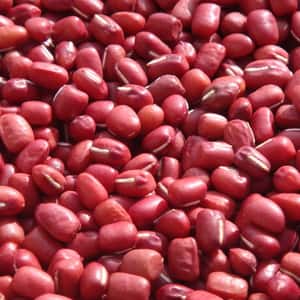 豆【丹波大納言小豆　２００g】味よし大きさよし香りよし、希少なブランド小豆です