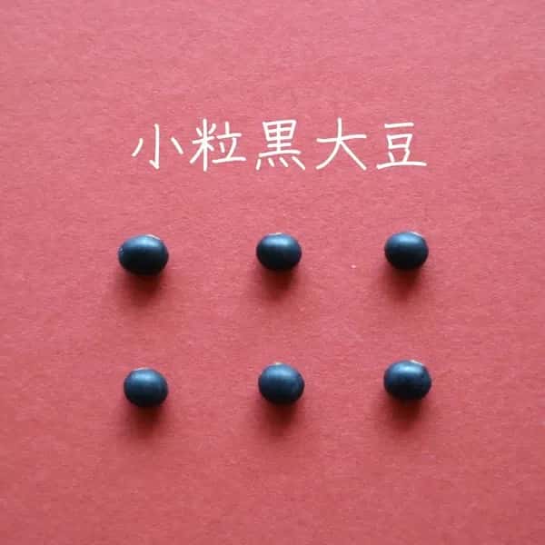 豆【小粒黒大豆　２００g】忙しい時にこそ使って欲しい、小粒なお豆さん