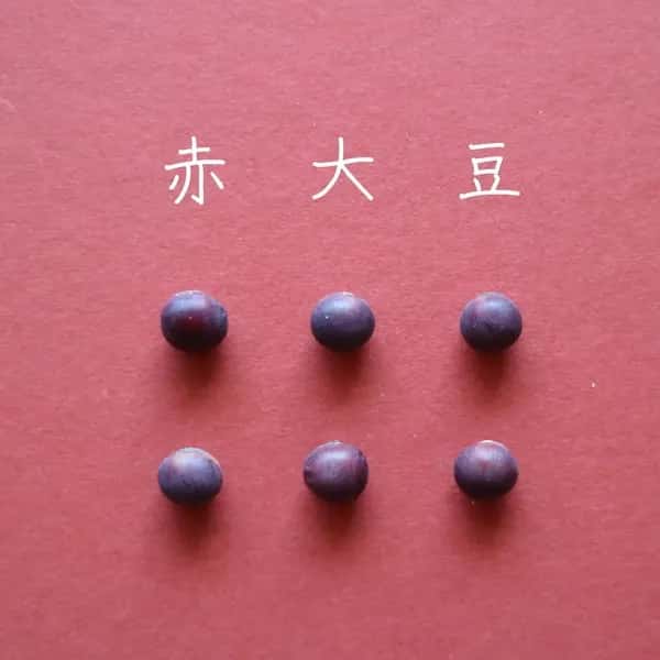 豆【赤大豆　２００g】料理に彩りを添える大豆です