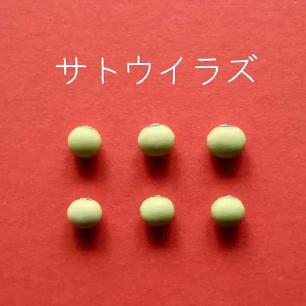 豆【サトウイラズ　２００g】砂糖がいらないくらい甘みの強い大豆です