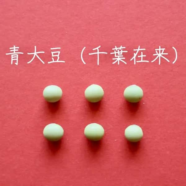 豆【青大豆（千葉在来）　２００g】上品な香りでどんな料理にも合う万能大豆