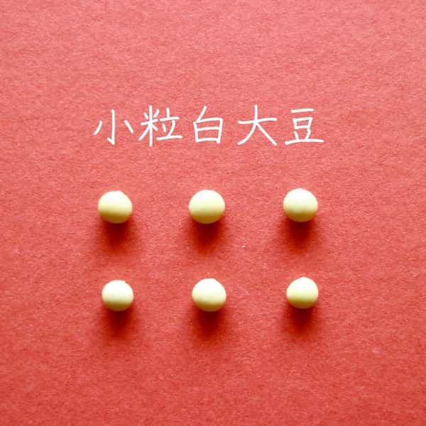 豆【小粒白大豆　２００g】忙しい時にこそ使って欲しい、小粒なお豆さん