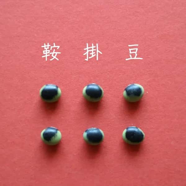豆【鞍掛豆　２００g】ユニークな模様とコリコリ食感が特徴の大豆です