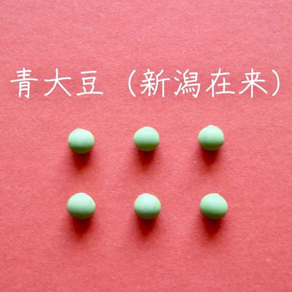 豆【青大豆（新潟在来）　２００g】塩茹ですると枝豆のような味の大豆です