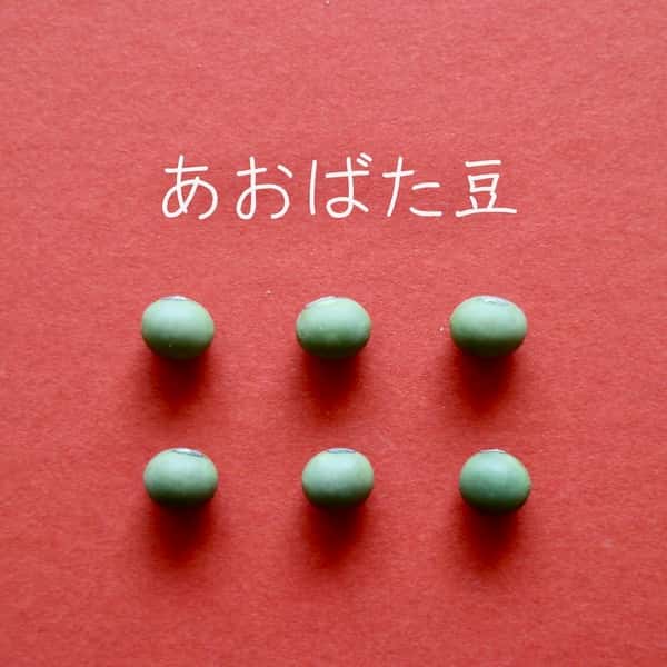 豆【あおばた豆　２００g】色も味も深く濃い青大豆