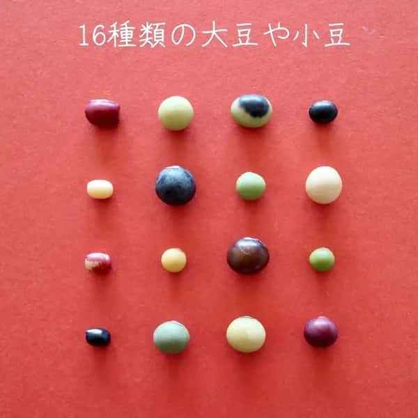 豆【ご希望の豆を選べるセット】色々な組合せ、いかがですか？