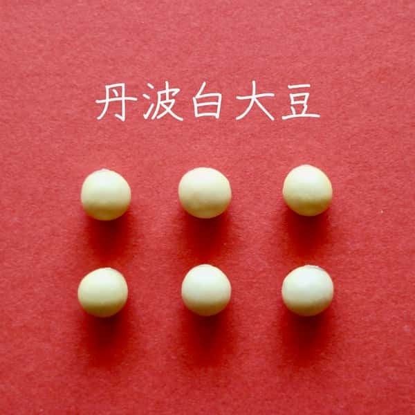 豆【丹波白大豆　２００g　９袋】