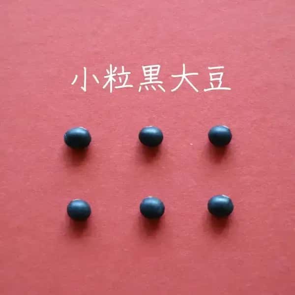 送料無料　豆【小粒黒大豆　２００g】忙しい時にこそ使って欲しい、小粒なお豆さん