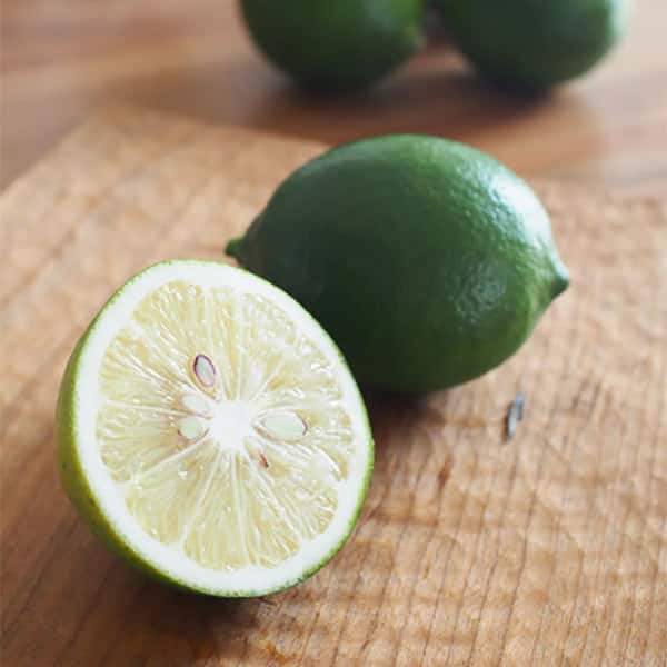 有機マイヤーレモン [有機JAS]