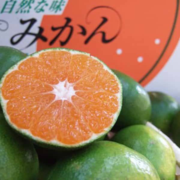 有機栽培温州みかん [有機JAS]