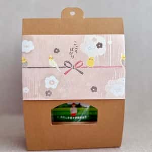 【プチギフト】有機ほうじ茶/玄米茶　リーフ/ティーバッグ　ミニ熨斗　メッセージ入