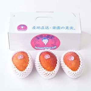 贈り物・ご自宅用におすすめ｜有機マンゴー