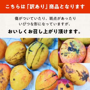 わけあり有機マンゴー