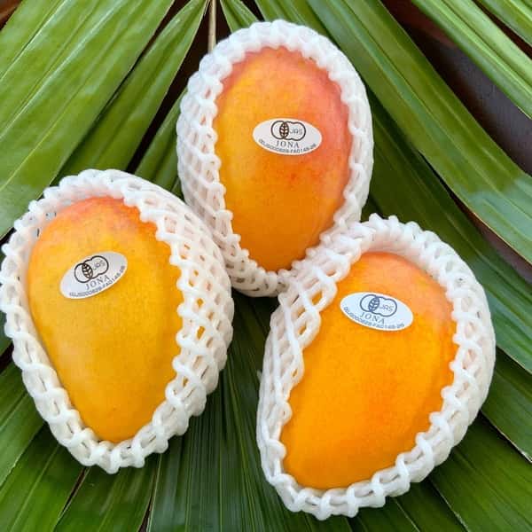 台農（たいのう）食べくらべ！台農と他の品種の混合となります。