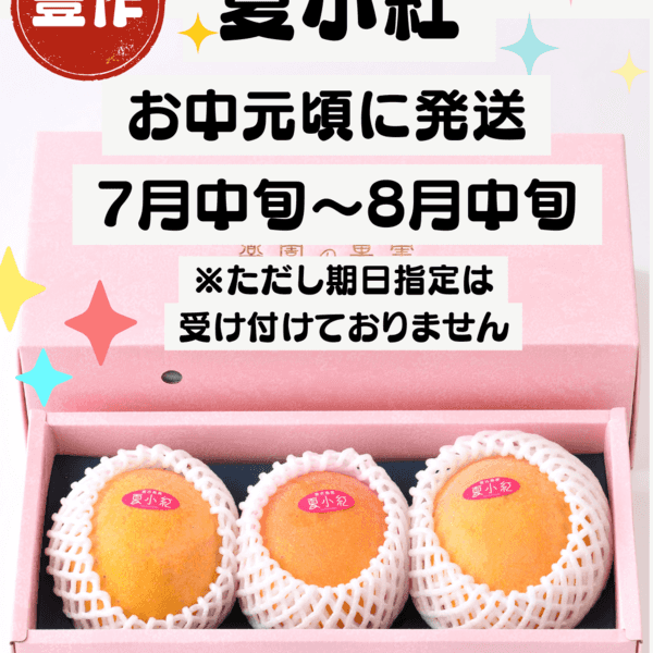 《贈答用》夏小紅 1㎏（2～3玉）